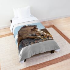 True Love and Tenderness Comforter