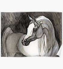grey arabian horse painting Poster