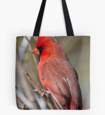 A Pause In Performance Tote Bag