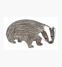 Mrs Badger Photographic Print