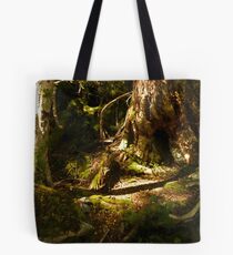 Archaic Beech Forest - Routeburn Track, Fiordland and Mount Aspiring National Parks. Tote Bag