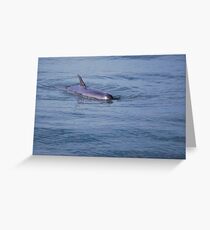 Come on in! The water's fine! Greeting Card