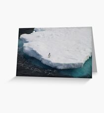 The Lone Penguin Greeting Card