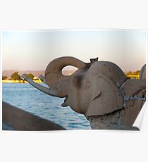 Jag Mandir Ellie Poster