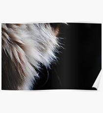 Fur Poster