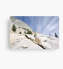Olmsted Uprise Metal Print