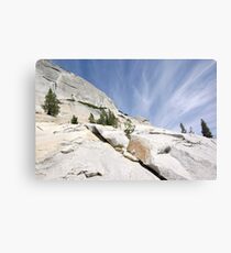 Olmsted Uprise Canvas Print