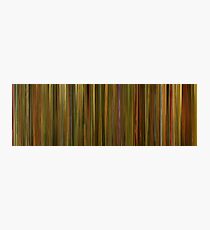 Moviebarcode: Amélie (2001) Photographic Print