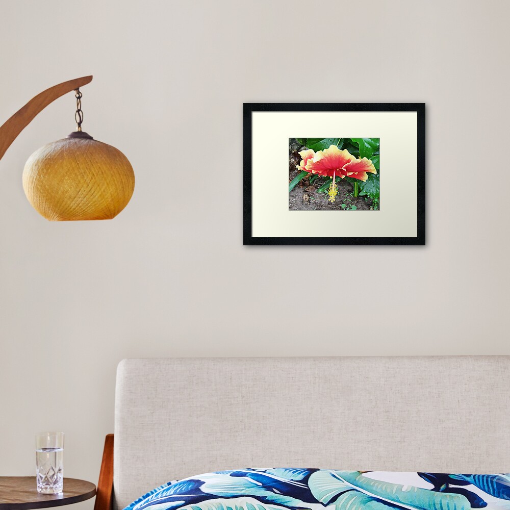 Hibiscus Beauty Framed Art Print