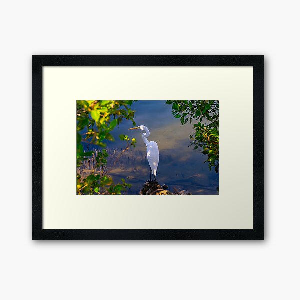 On the shore of Cabbage Tree Creek Framed Art Print