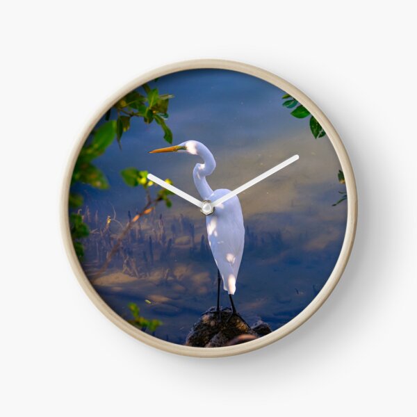 On the shore of Cabbage Tree Creek Clock