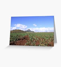 sugarcane plantation Grußkarte