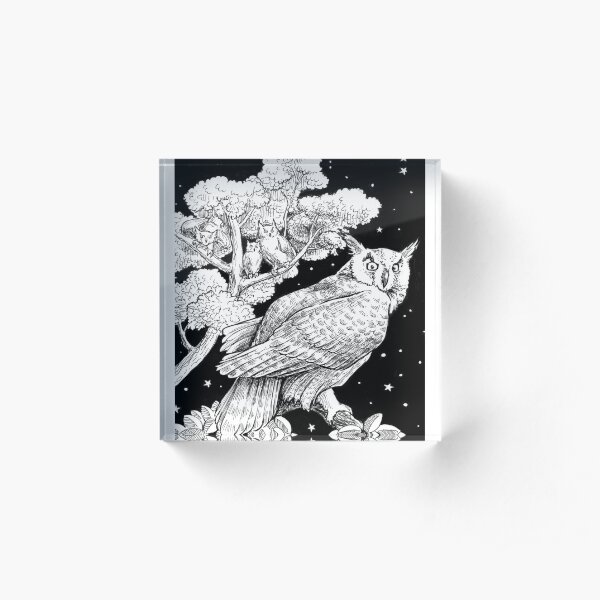 The Night Owl Acrylic Block