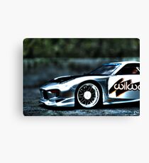 toys Canvas Print