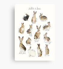 Rabbits & Hares Metal Print