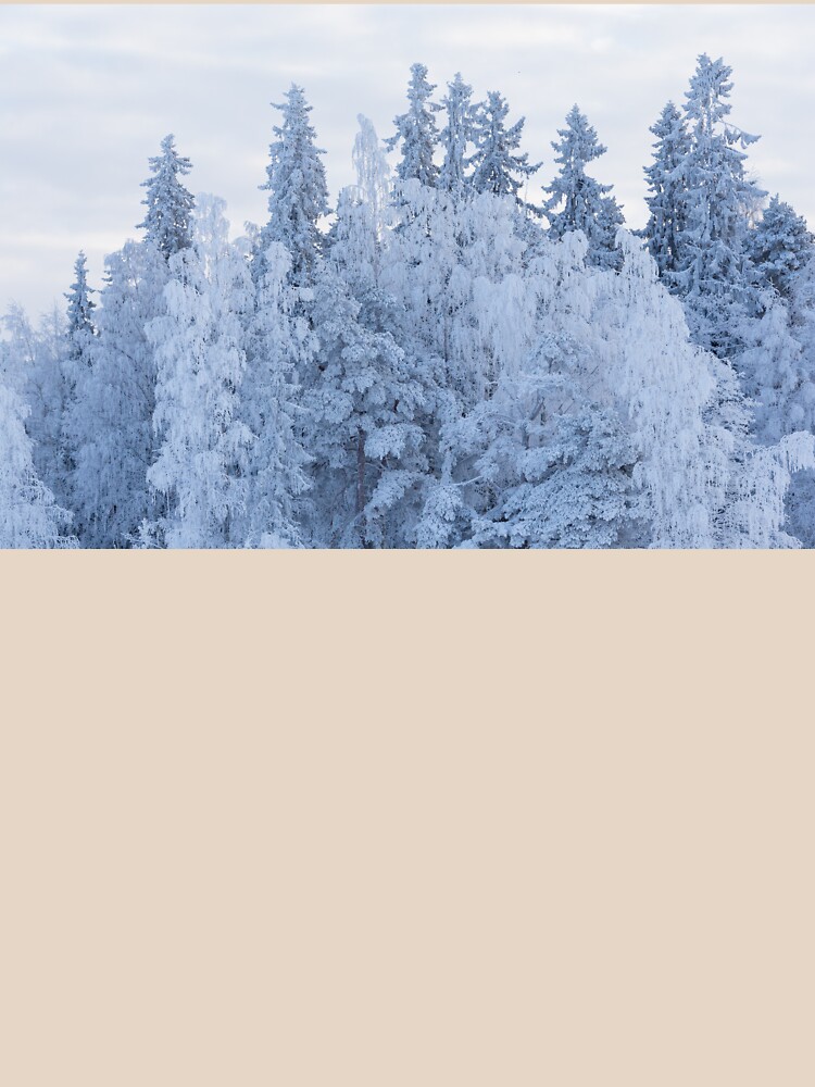 Trees covered in snow by Juhku