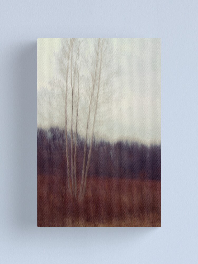 Alternate view of Lone Birch Canvas Print