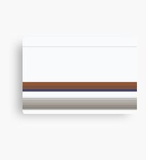 Mario Kart Wii Canvas Print