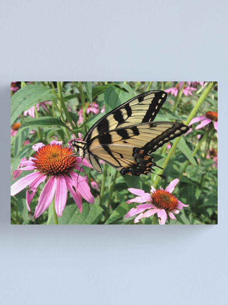 Alternate view of Butterfly Canvas Print