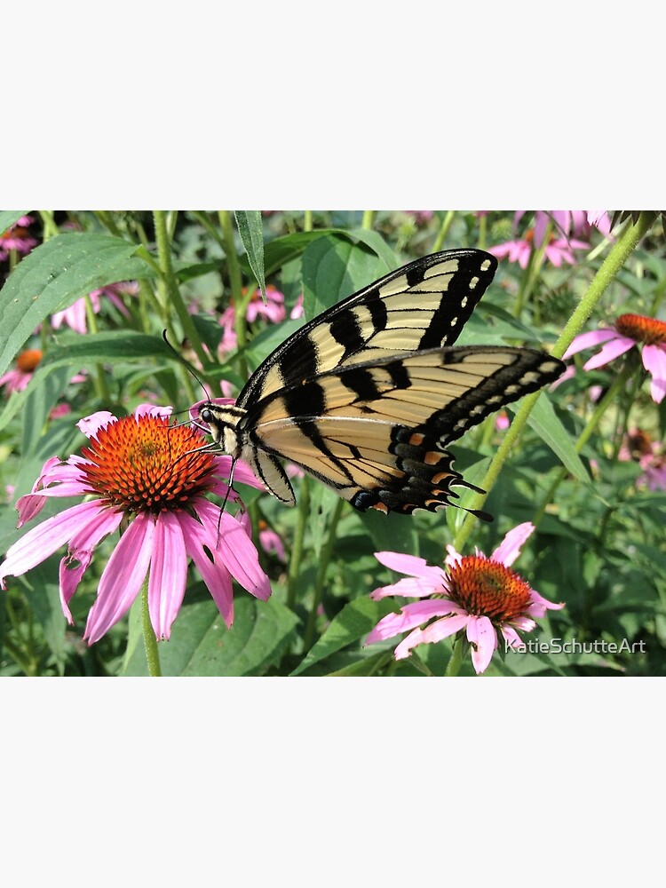 Butterfly by KatieSchutteArt