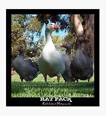 Rat Pack Photographic Print