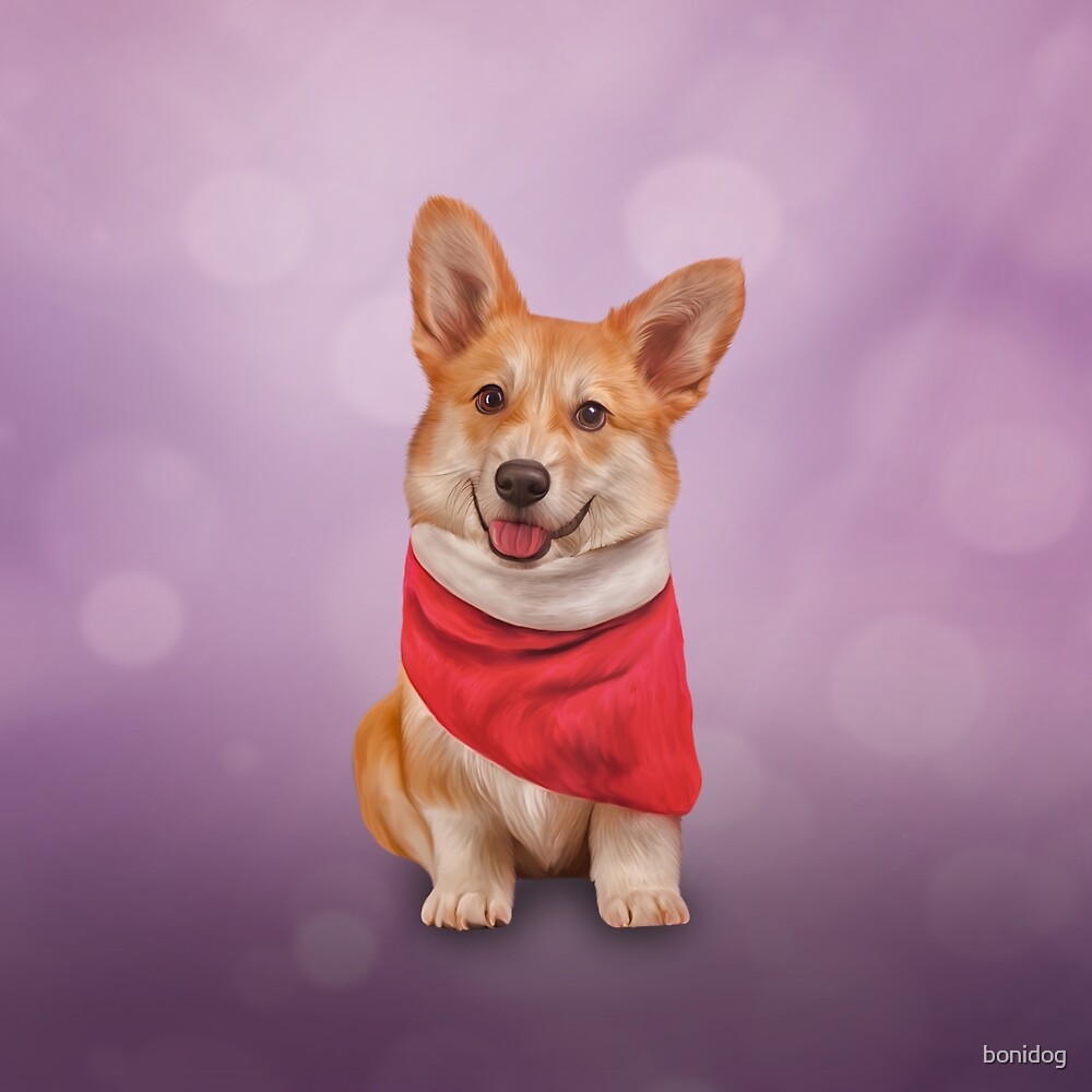 "Drawing Dog Welsh Corgi " by bonidog | Redbubble