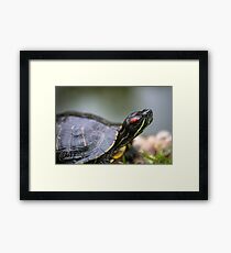 Hello Framed Print