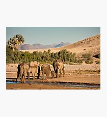Family trudges ahead Photographic Print