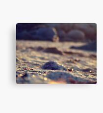 Tarde de verano Canvas Print