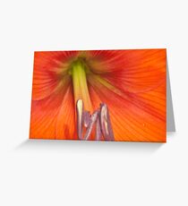 Amarillas Greeting Card