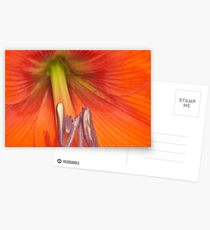 Amarillas Postcards