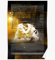 VICTORIAN JIU JITSU CHAMPIONSHIP POSTER Poster