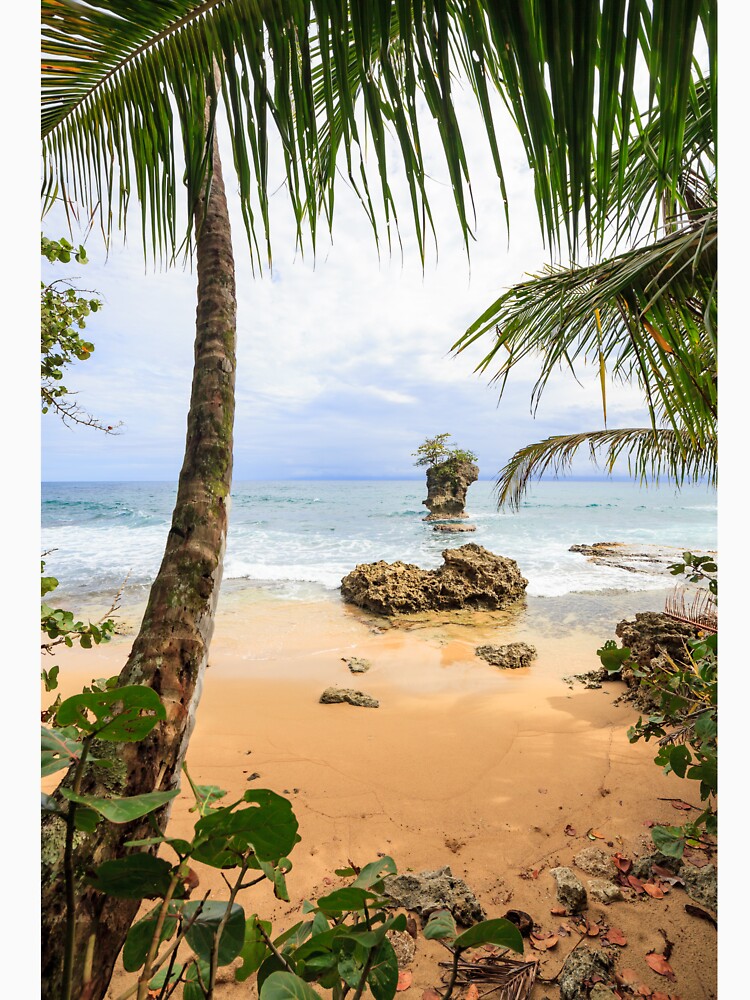 Beach in Manzanillo Costa Rica by Juhku