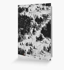 Red Scale Greeting Card