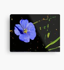 Little Blue Flower Metal Print