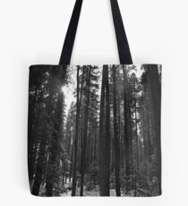 Trees and Shadows Tote Bag