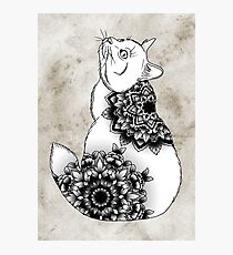 Catdala Photographic Print