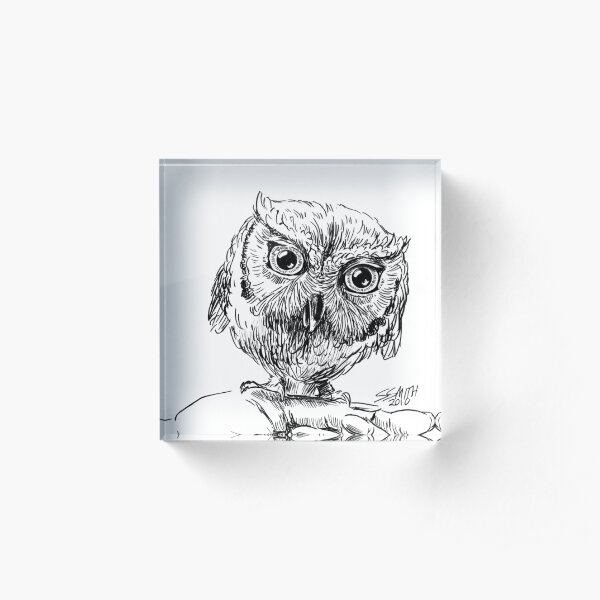 Whoooooo? Acrylic Block