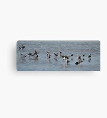 A family of Stilts Canvas Print