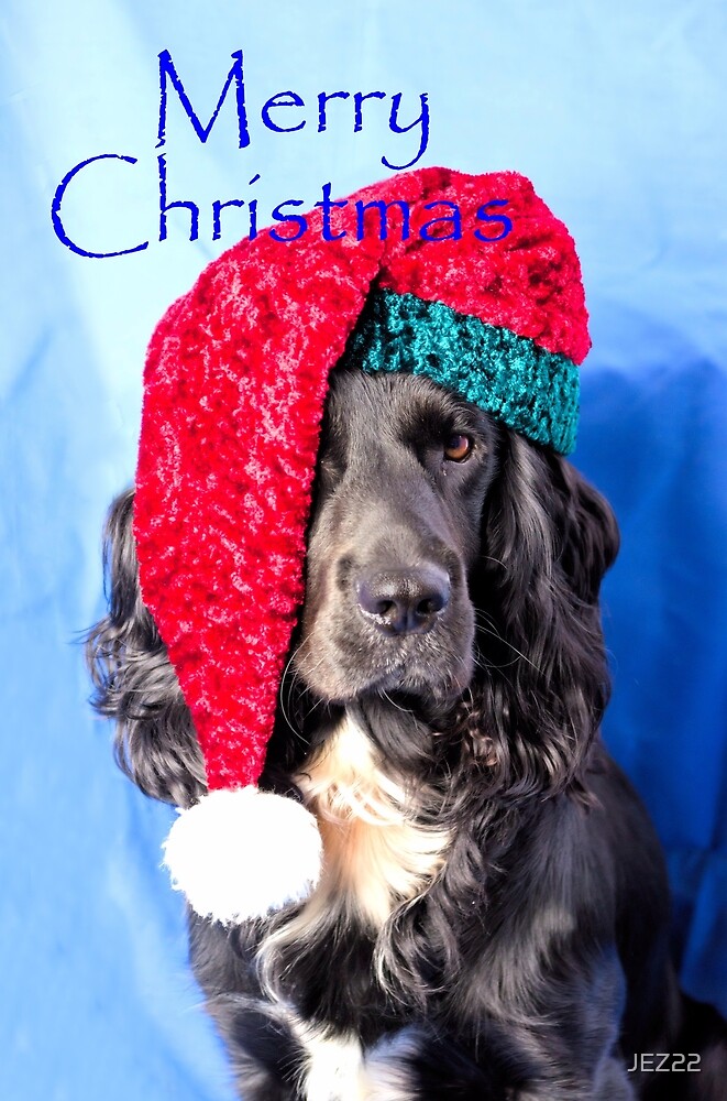 &quot;Merry Christmas Dog&quot; by JEZ22 | Redbubble