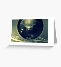 looking out Greeting Card