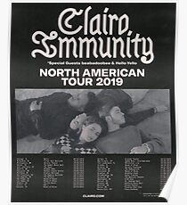 clairo immunity tour poster Poster