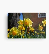 Farnham in Springtime No2 Metal Print