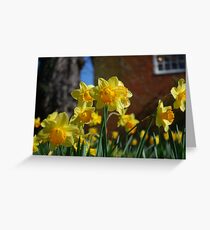 Farnham in Springtime No2 Greeting Card