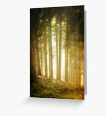 light in the woods Greeting Card