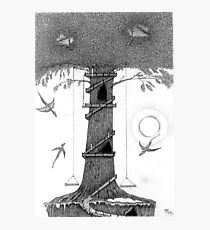Change Photographic Print