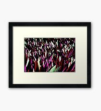 Spike Framed Print