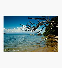 Dunk Island Photographic Print