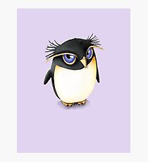 Cute Penguin Photographic Print