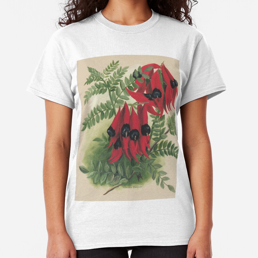 Western Australia wild flower Sturt's Desert Pea - Clianthus Dampieri State Library of Western Australia Classic T-Shirt